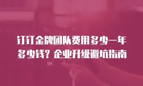 钉钉金牌团队费用多少一年多少钱？企业升级避坑指南