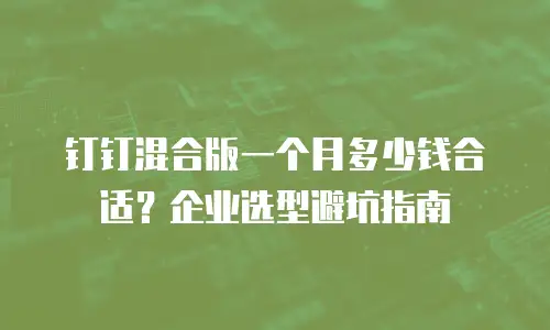 钉钉混合版一个月多少钱合适？企业选型避坑指南