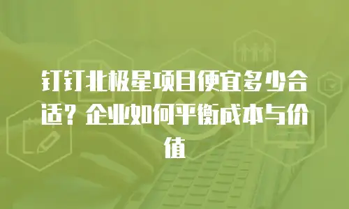 钉钉北极星项目便宜多少合适？企业如何平衡成本与价值