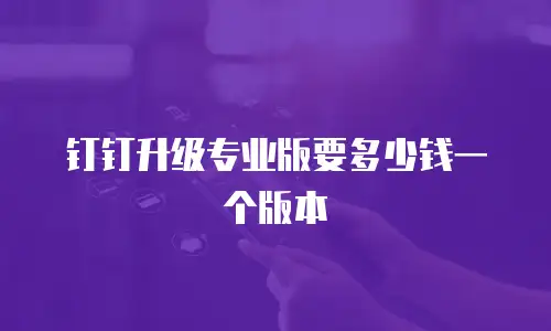 钉钉升级专业版要多少钱一个版本