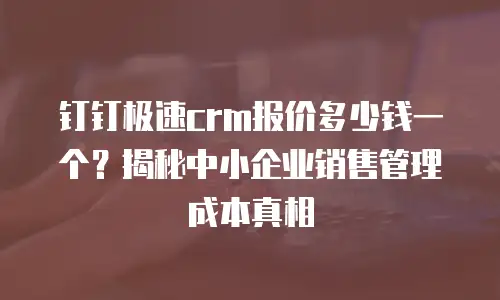 钉钉极速crm报价多少钱一个？揭秘中小企业销售管理成本真相