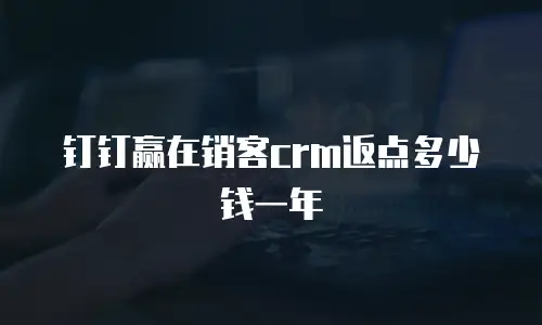钉钉赢在销客crm返点多少钱一年