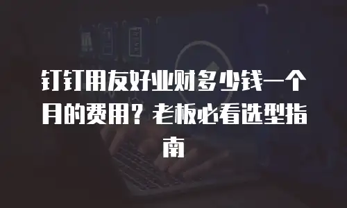 钉钉用友好业财多少钱一个月的费用？老板必看选型指南