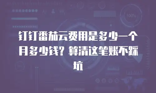 钉钉番茄云费用是多少一个月多少钱？算清这笔账不踩坑