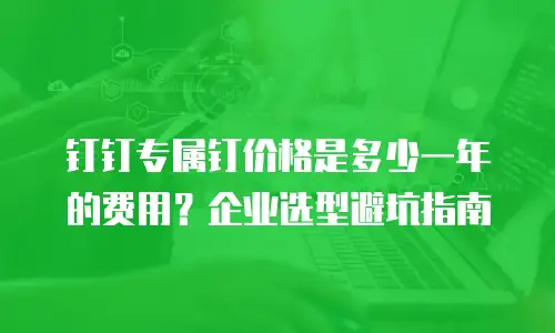 钉钉专属钉价格是多少一年的费用？企业选型避坑指南