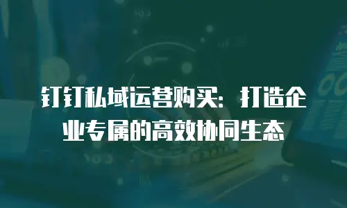 钉钉私域运营购买：打造企业专属的高效协同生态