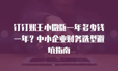 钉钉账王小微版一年多少钱一年？中小企业财务选型避坑指南
