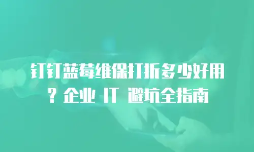 钉钉蓝莓维保打折多少好用？企业 IT 避坑全指南