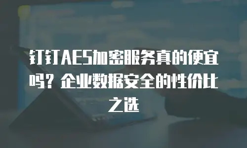 钉钉AES加密服务真的便宜吗？企业数据安全的性价比之选