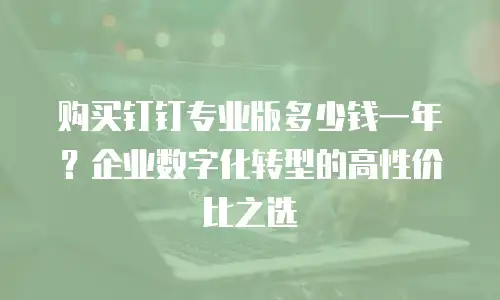 购买钉钉专业版多少钱一年？企业数字化转型的高性价比之选