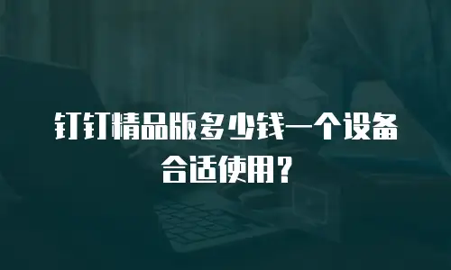 钉钉精品版多少钱一个设备合适使用？