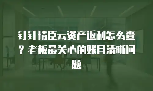 钉钉精臣云资产返利怎么查？老板最关心的账目清晰问题