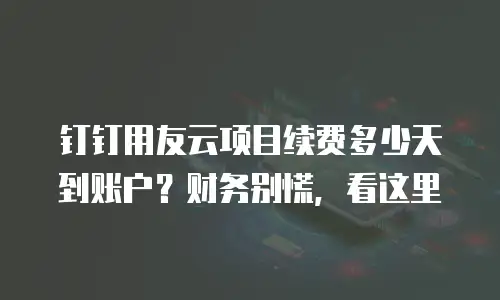 钉钉用友云项目续费多少天到账户？财务别慌，看这里