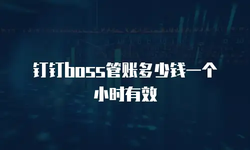 钉钉boss管账多少钱一个小时有效