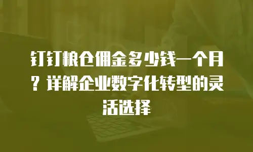 钉钉粮仓佣金多少钱一个月？详解企业数字化转型的灵活选择