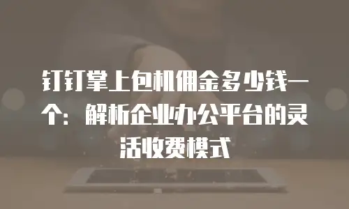 钉钉掌上包机佣金多少钱一个：解析企业办公平台的灵活收费模式