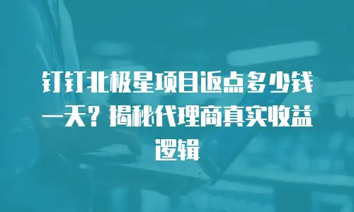 钉钉北极星项目返点多少钱一天？揭秘代理商真实收益逻辑