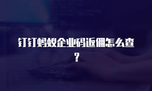 钉钉蚂蚁企业码返佣怎么查？