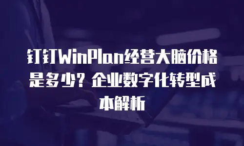钉钉WinPlan经营大脑价格是多少？企业数字化转型成本解析