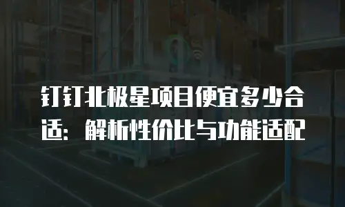 钉钉北极星项目便宜多少合适：解析性价比与功能适配