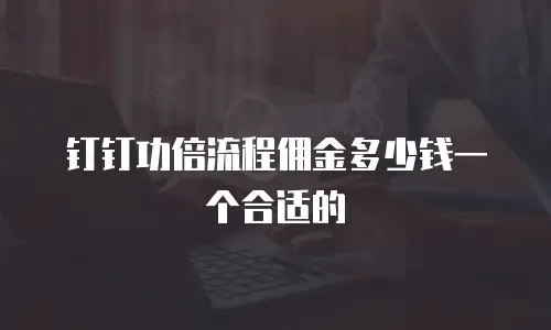 钉钉功倍流程佣金多少钱一个合适的