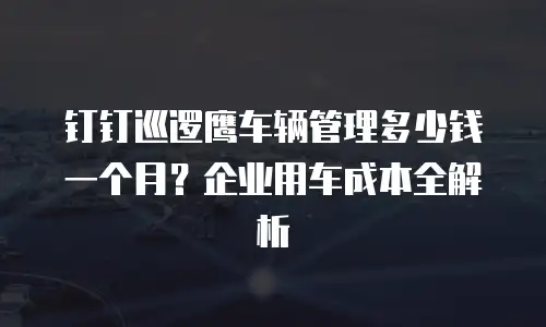 钉钉巡逻鹰车辆管理多少钱一个月？企业用车成本全解析