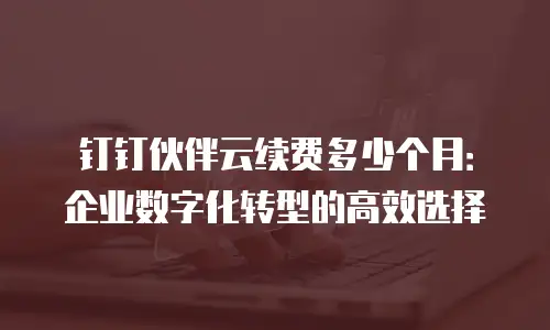 钉钉伙伴云续费多少个月：企业数字化转型的高效选择