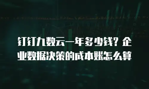 钉钉九数云一年多少钱？企业数据决策的成本账怎么算