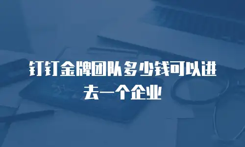 钉钉金牌团队多少钱可以进去一个企业