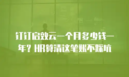 钉钉启效云一个月多少钱一年？HR算清这笔账不踩坑