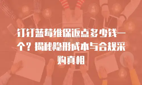 钉钉蓝莓维保返点多少钱一个？揭秘隐形成本与合规采购真相