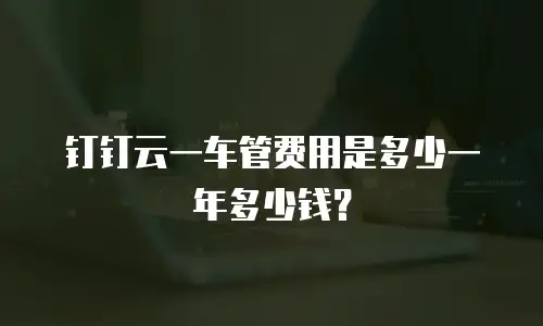 钉钉云一车管费用是多少一年多少钱？