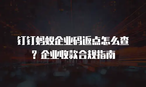 钉钉蚂蚁企业码返点怎么查？企业收款合规指南