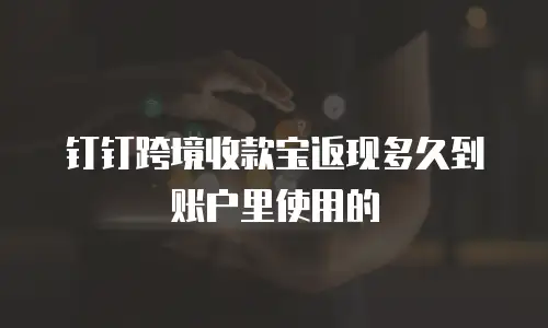 钉钉跨境收款宝返现多久到账户里使用的