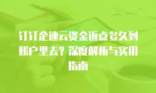 钉钉企速云资金返点多久到账户里去？深度解析与实用指南