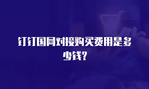 钉钉国网对接购买费用是多少钱？