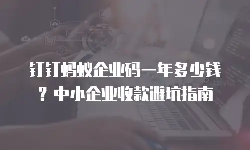 钉钉蚂蚁企业码一年多少钱？中小企业收款避坑指南