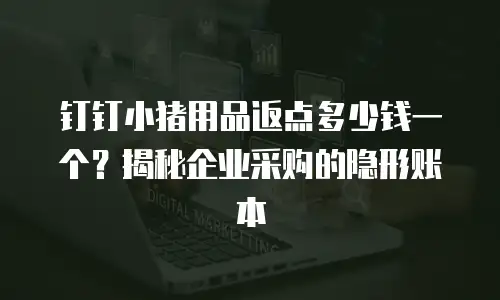 钉钉小猪用品返点多少钱一个？揭秘企业采购的隐形账本