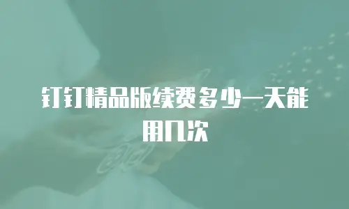 钉钉精品版续费多少一天能用几次