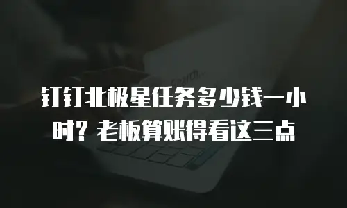钉钉北极星任务多少钱一小时？老板算账得看这三点