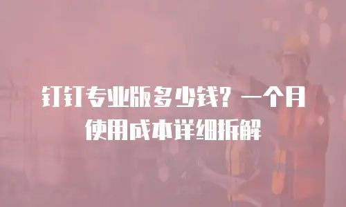 钉钉专业版多少钱？一个月使用成本详细拆解