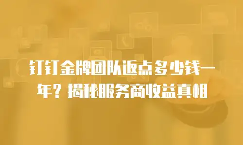钉钉金牌团队返点多少钱一年？揭秘服务商收益真相