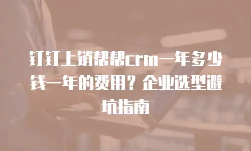 钉钉上销帮帮crm一年多少钱一年的费用？企业选型避坑指南