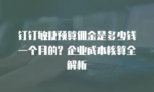 钉钉敏捷预算佣金是多少钱一个月的？企业成本核算全解析