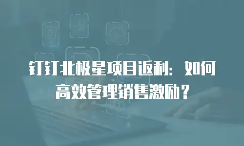 钉钉北极星项目返利：如何高效管理销售激励？