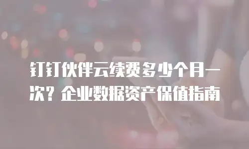 钉钉伙伴云续费多少个月一次？企业数据资产保值指南