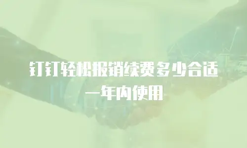 钉钉轻松报销续费多少合适一年内使用