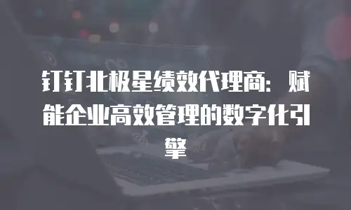 钉钉北极星绩效代理商：赋能企业高效管理的数字化引擎