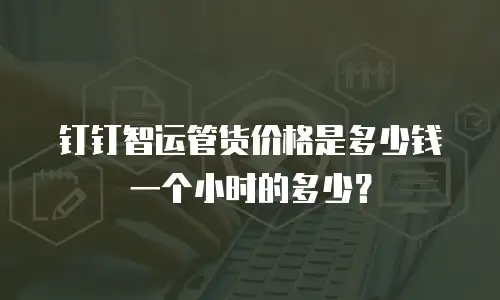 钉钉智运管货价格是多少钱一个小时的多少？