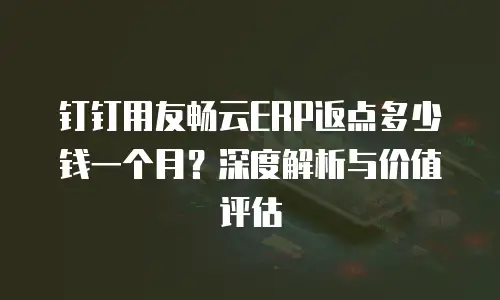 钉钉用友畅云ERP返点多少钱一个月？深度解析与价值评估